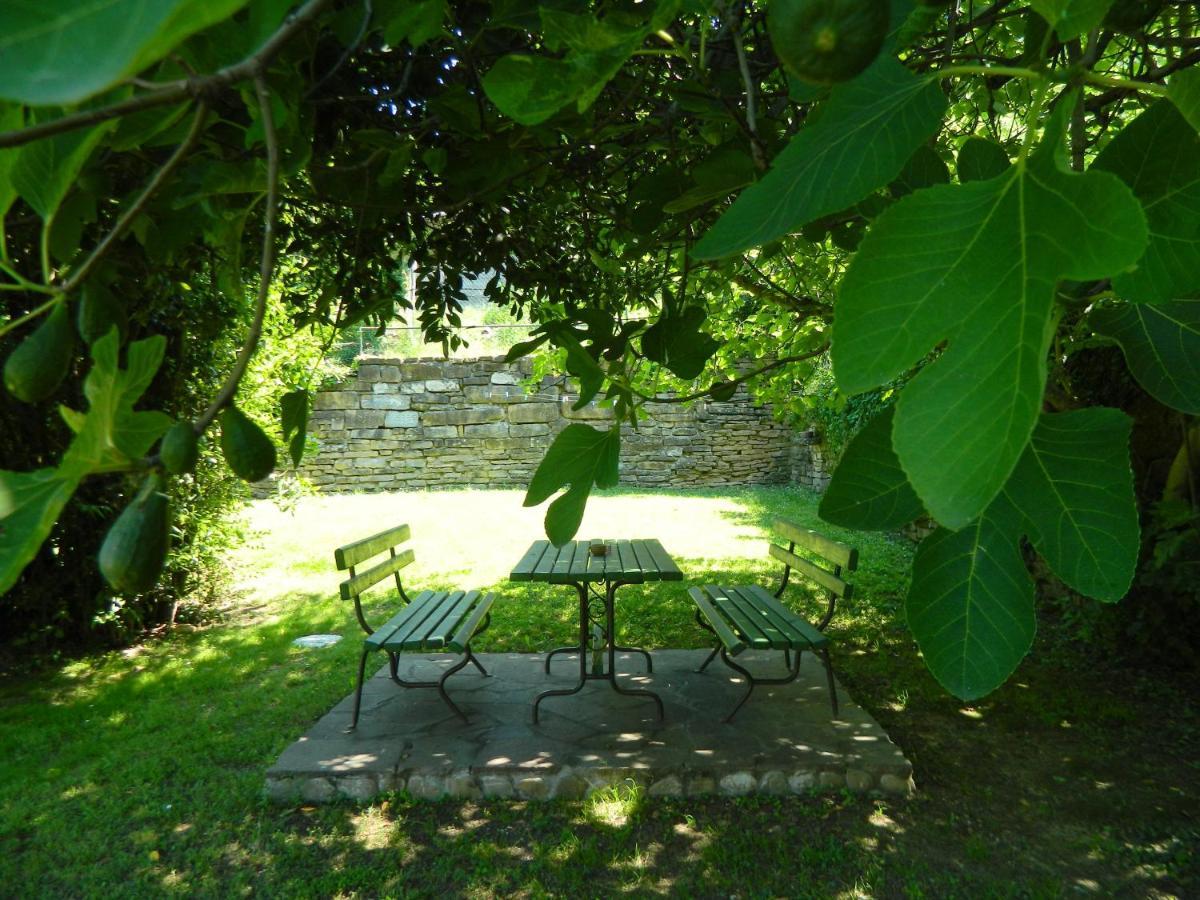 The Hug Of Nature Dekani Exterior photo